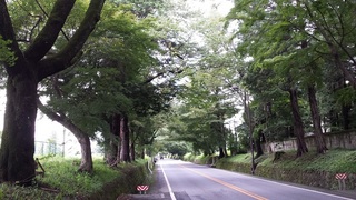 2015-08-18 12.17.02.jpg
