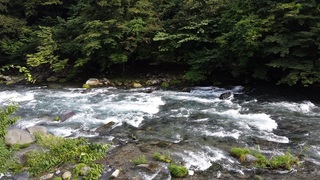 2015-08-18 15.38.29.jpg
