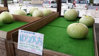 2015-08-20 11.57.37.jpg