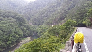 2015-08-20 12.29.43.jpg