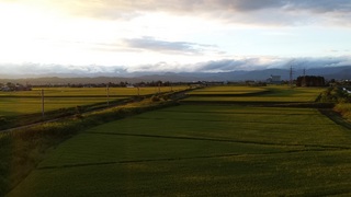 2015-08-22 18.08.15.jpg