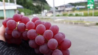 2015-08-23 13.53.43.jpg