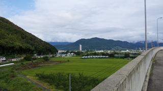 2015-08-23 14.44.55.jpg
