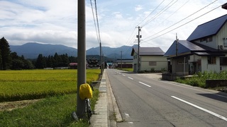 2015-08-28 09.52.07.jpg