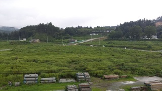 2015-08-29 16.05.50.jpg