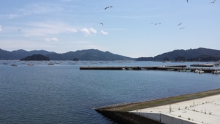 2015-09-01 11.04.10.jpg