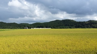 2015-09-04 14.08.43.jpg