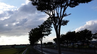 2015-09-04 16.59.18.jpg