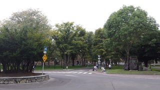 2015-09-12 12.10.45.jpg