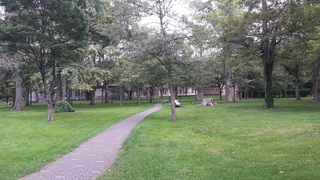 2015-09-12 12.36.18.jpg